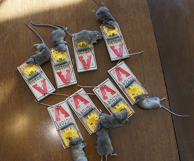 rodent trapping